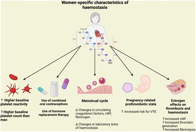 Gender-differences in antithrombotic therapy across the spectrum of ischemic heart disease: Time to tackle the Yentl syndrome?